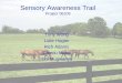 Sensory Awareness Trail Project 06209