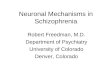 Neuronal Mechanisms in Schizophrenia