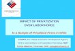 IMPACT OF PRIVATIZATION OVER LABOR FORCE In a Sample of Privatized Firms in Chile
