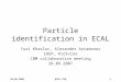 Particle identification in ECAL