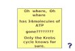 Oh  where,  Oh where  has 34molecules of ATP gone???????? Only the Krebs cycle knows for sure