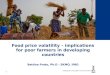 Food price volatility – implications for poor farmers in developing countries