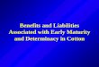 Benefits and Liabilities Associated with Early Maturity and Determinacy in Cotton