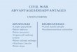 CIVIL WAR ADVANTAGES/DISADVANTAGES