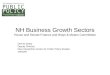NH Business Growth Sectors House and Senate Finance and Ways & Means Committees