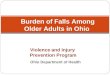 Violence and Injury  Prevention Program