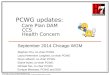 PCWG updates: Care Plan DAM     CCS    Health Concern