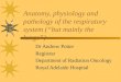 Anatomy, physiology and pathology of the respiratory system (“but mainly the lungs”)