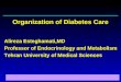 Organization of Diabetes Care