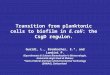 Transition from planktonic cells to biofilm in  E. coli : the CsgD regulon 