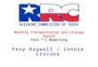 Monthly Transportation and Storage Report Form T-1 Reporting