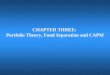 CHAPTER THREE:  Portfolio Theory, Fund Separation and CAPM