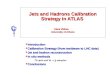 Jets and Hadrons Calibration Strategy in ATLAS  Ir e ne Vichou   University of Athens