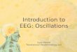 Introduction to EEG: Oscillations Saee Paliwal Translational Neuromodeling Unit
