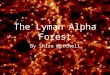 The Lyman Alpha Forest