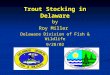 Trout Stocking in Delaware