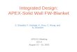 Integrated Design: APEX-Solid Wall FW-Blanket