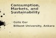 Consumption, Markets, and  Sustainability