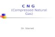 C N G  (Compressed Natural Gas)