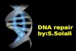 DNA repair by:S.Solali