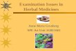 Examination Issues in Herbal Medicines