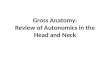 Gross  Anatomy: Review of Autonomics in the Head and Neck