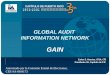 GLOBAL AUDIT  INFORMATION NETWORK