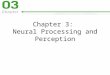 Chapter 3:  Neural Processing and Perception