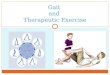 Gait  and  Therapeutic Exercise