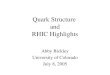 Quark Structure  and RHIC Highlights