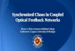 Synchronized Chaos in Coupled Optical Feedback Networks
