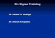 Six Sigma Training