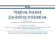 Native Asset Building Initiative