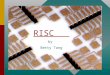 RISC    by  Betty Tang