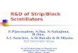 R&D of Strip/Block Scintillators
