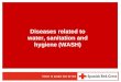 Diseases related to water, sanitation and hygiene (WASH)