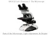BIO130 Lab 1 Exercise 3  The Microscope