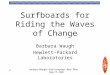 Surfboards for Riding the Waves of Change