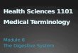 Health Sciences 1101 Medical Terminology
