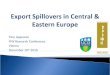 Export Spillovers in Central & Eastern Europe