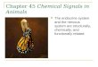 Chapter 45  Chemical Signals in Animals