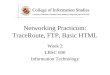 Networking Practicum: TraceRoute, FTP, Basic HTML