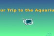 Our Trip to the Aquarium