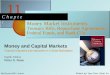 Money Market Instruments:     Treasury Bills, Repurchase Agreements, Federal Funds, and Bank CDs