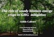 The role of woody biomass energy crops in GHG  mitigation