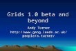 Grids 1.0 beta and beyond