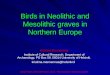 Birds in Neolithic and Mesolithic graves in Northern Europe
