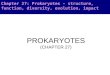 Chapter 27: Prokaryotes - structure, function, diversity, evolution, impact