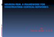 Neuron PRM: A Framework for Constructing Cortical Networks