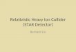 Relativistic Heavy Ion Collider (STAR Detector)
